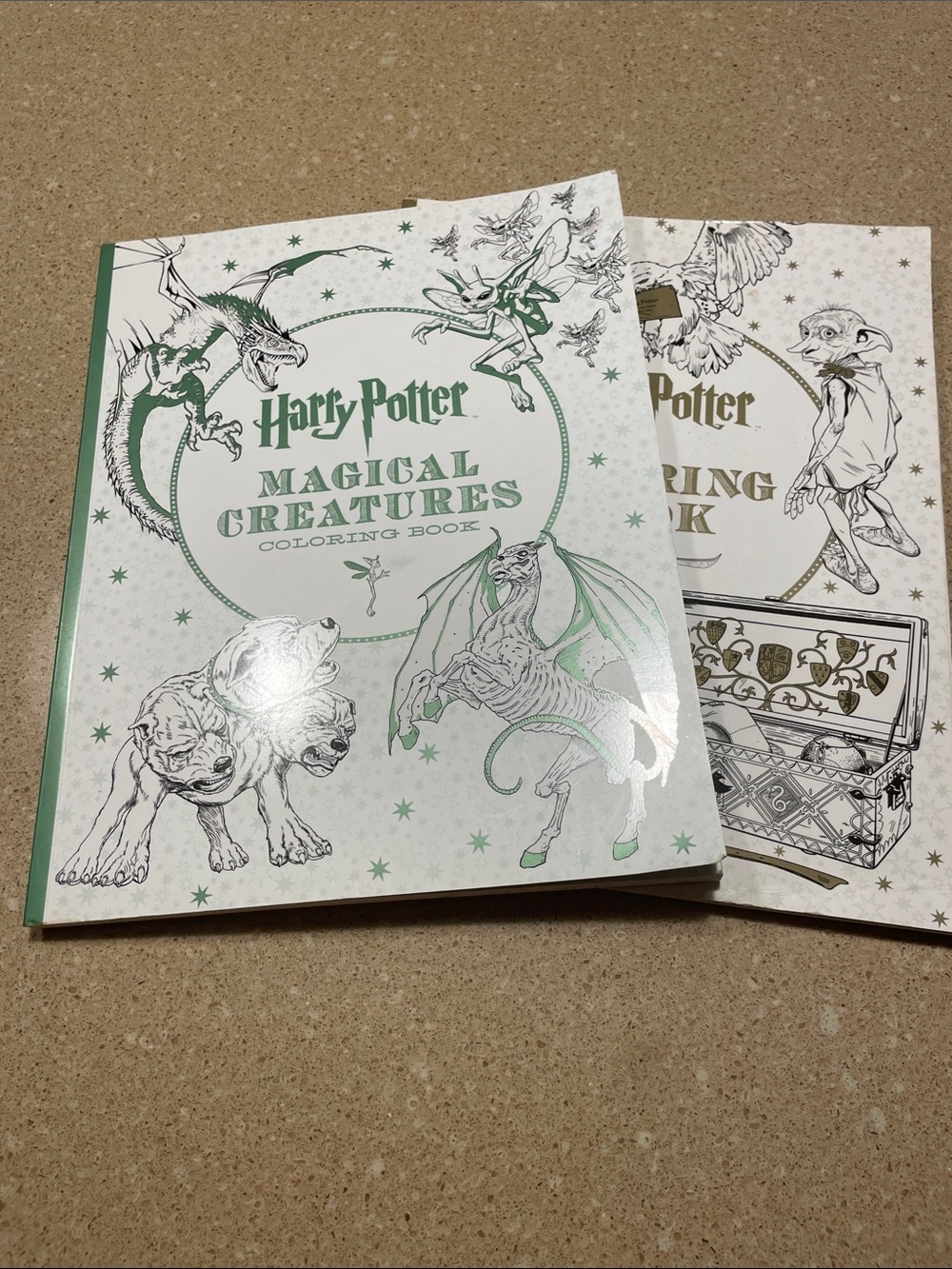Harry Potter Coloring Books